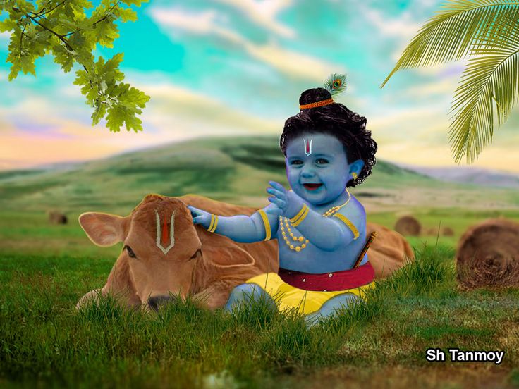 6 Signs That This Janmashtami Is Bringing Wonders For You