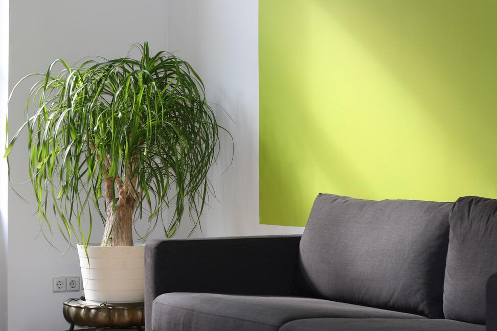 Reasons To Avoid Green Paint In Your Living Room